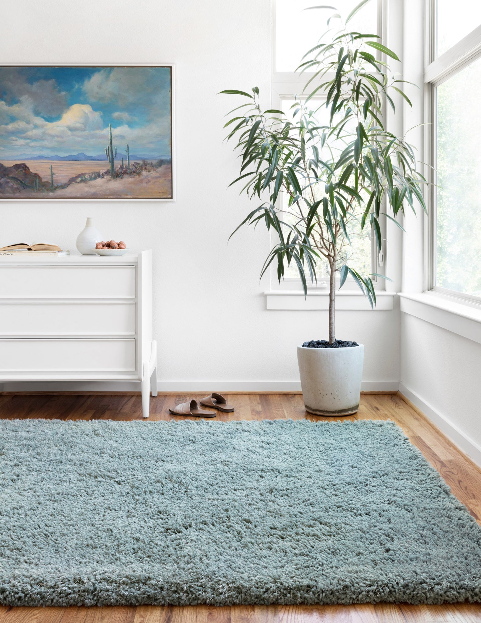 Simple Ways to Maintain your Shag Rug