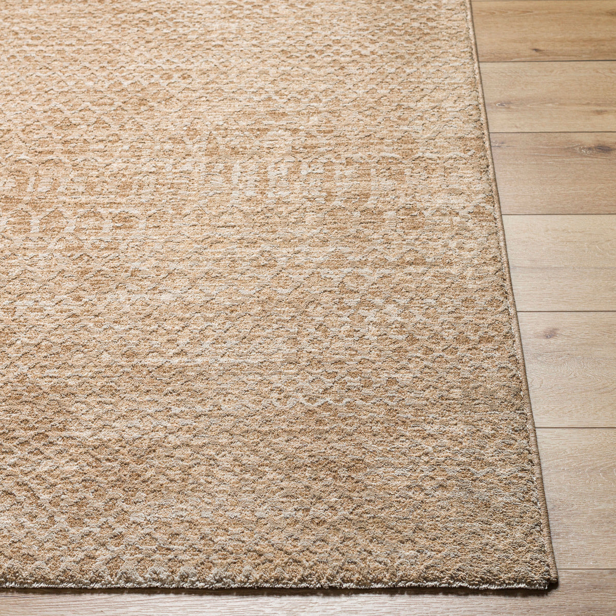 Livabliss Masterpiece MPC-2302 Tan Area Rug Corner URL