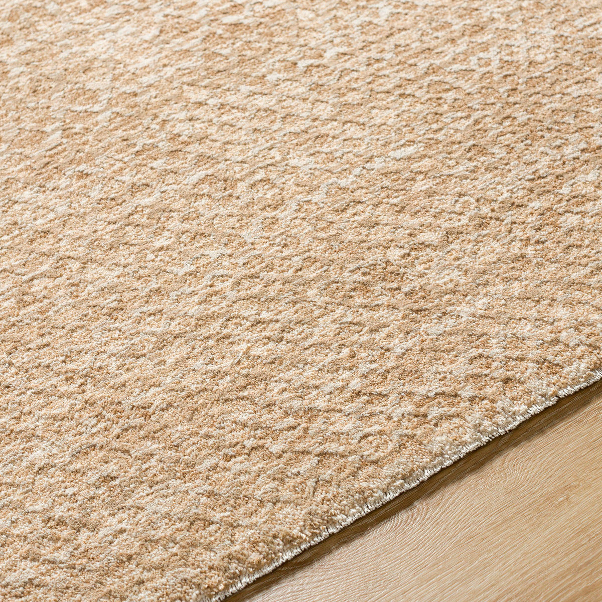 Livabliss Masterpiece MPC-2302 Tan Area Rug Texture URL