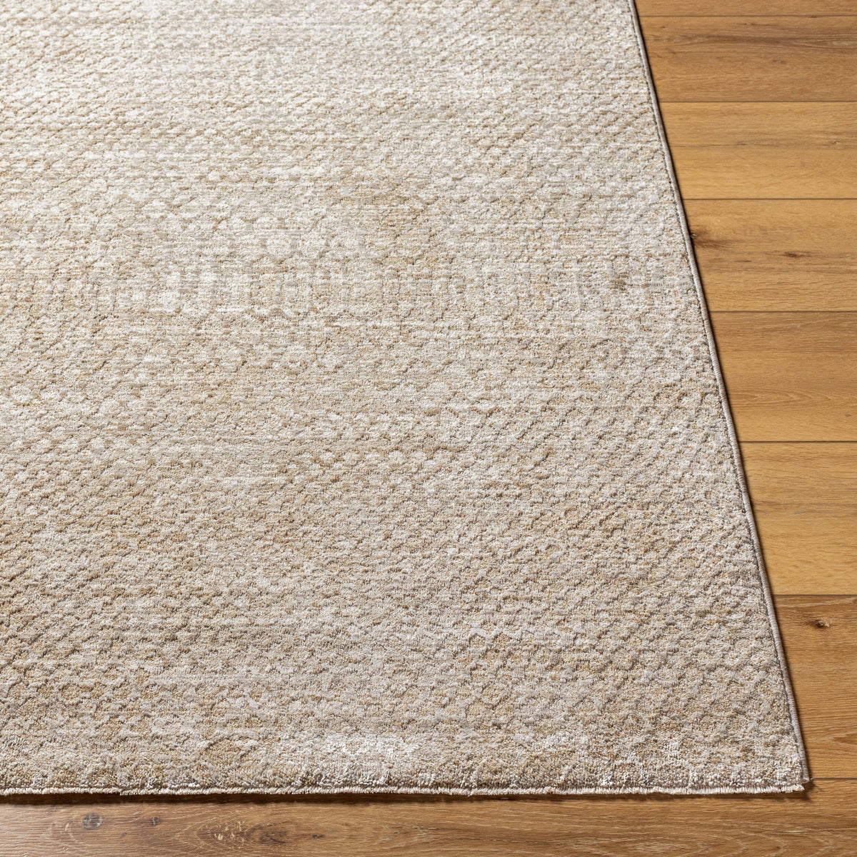 Livabliss Masterpiece MPC-2303 Silver Area Rug Corner URL
