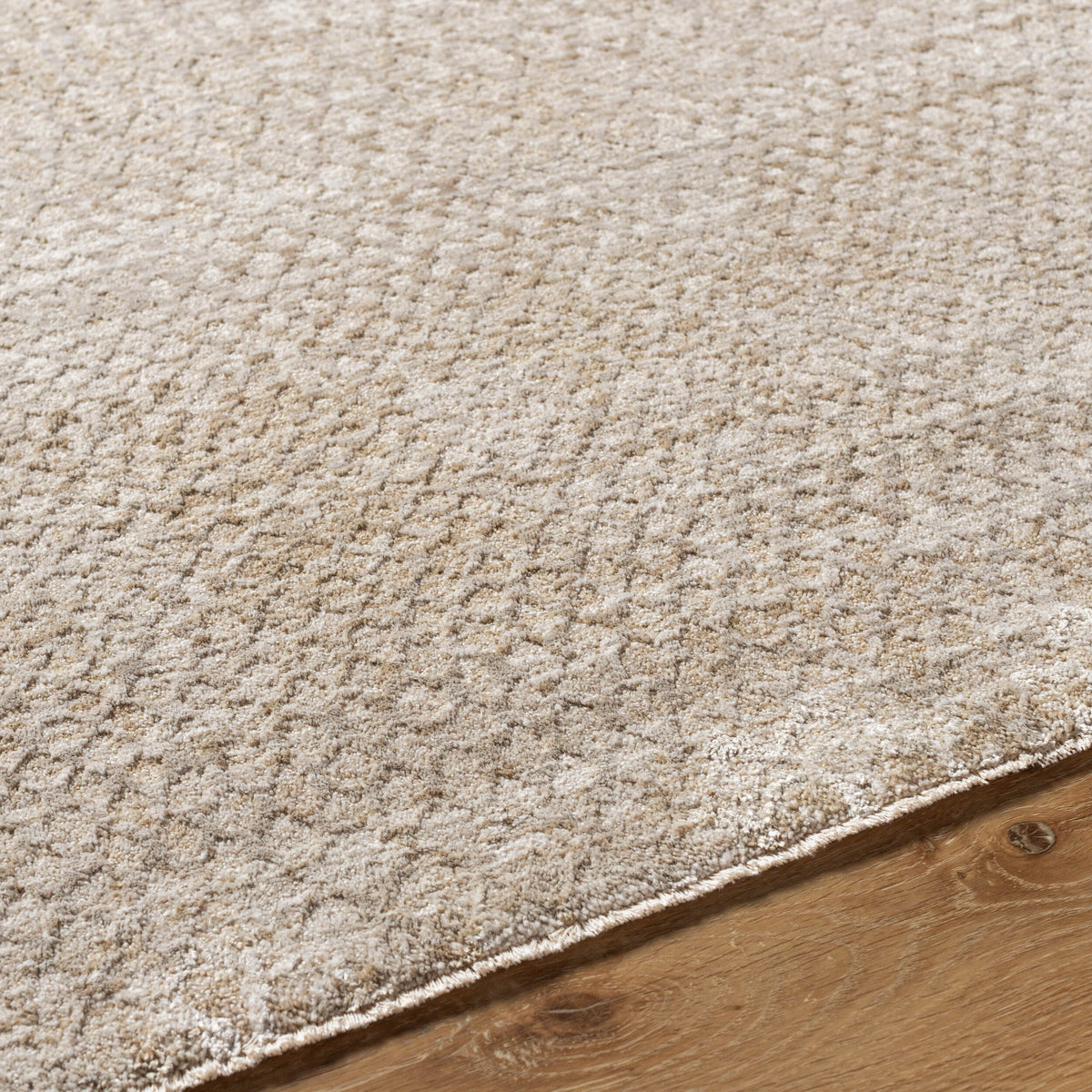 Livabliss Masterpiece MPC-2303 Silver Area Rug Texture URL