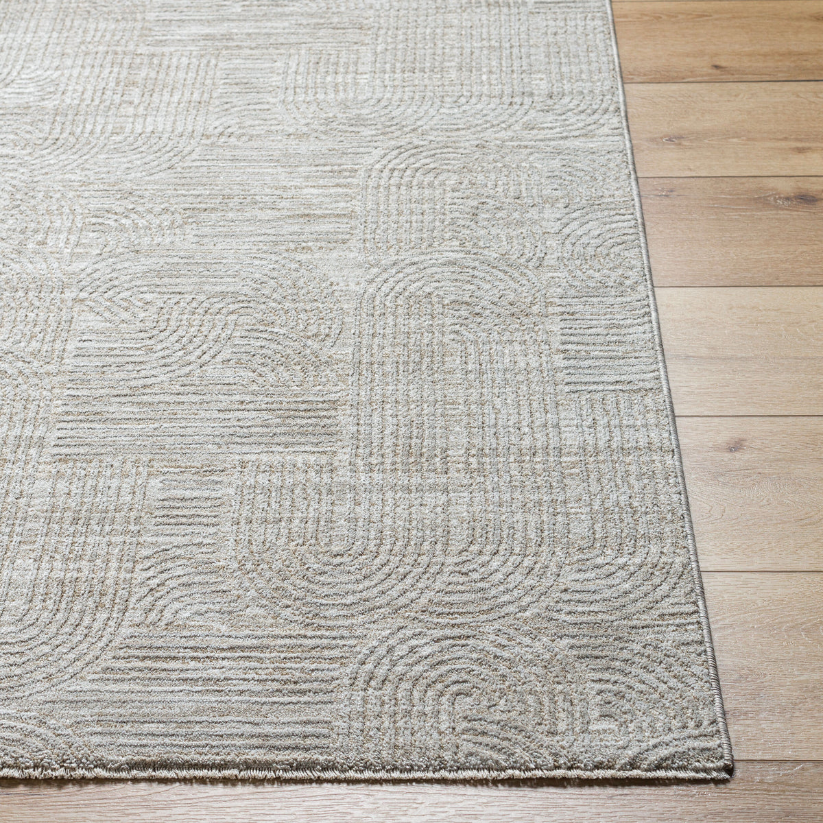 Livabliss Masterpiece MPC-2311 Grey Area Rug Corner URL