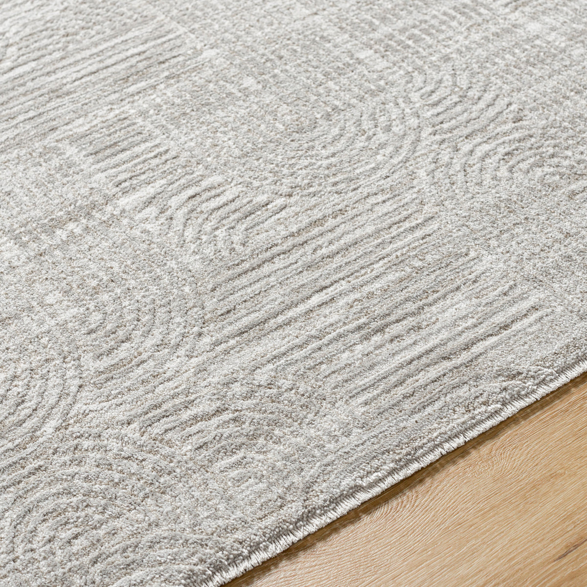 Livabliss Masterpiece MPC-2311 Grey Area Rug Texture URL