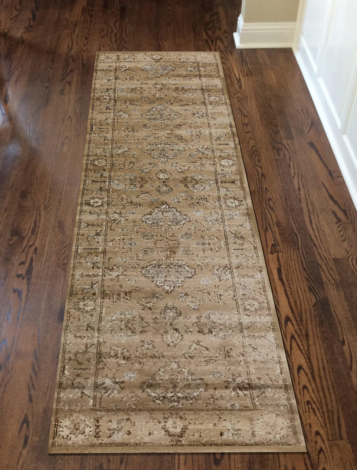 Allora 3562 Beige Area Rug (2&#39;2 x 7&#39;7)