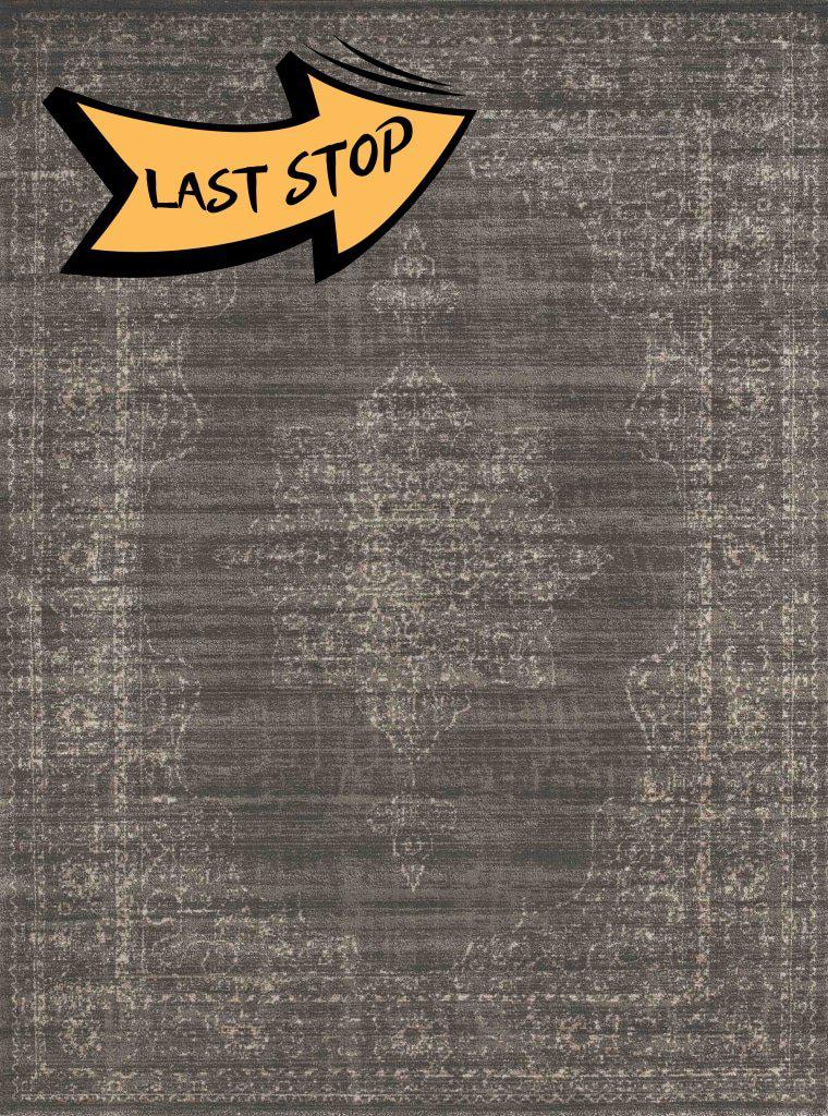 Allora 3563 Light Brown Area Rug 33 X 411