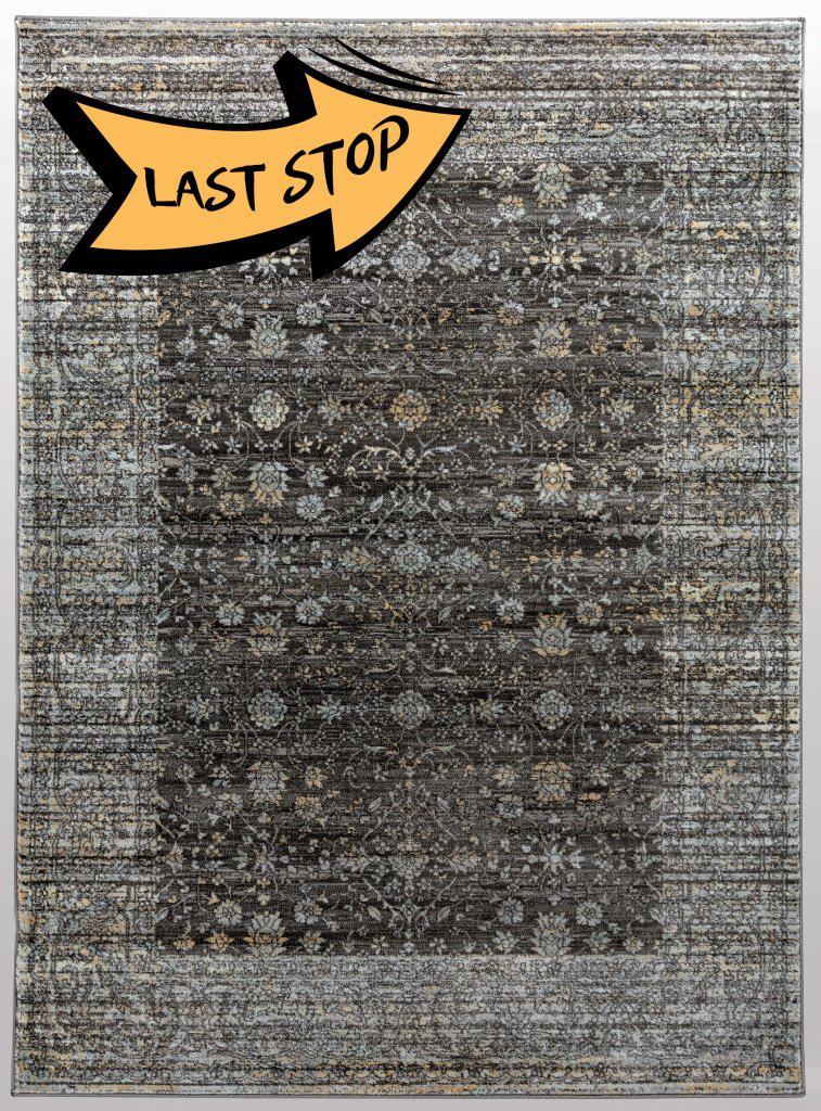 Francesca 500 Brown Area Rug 33 X 411