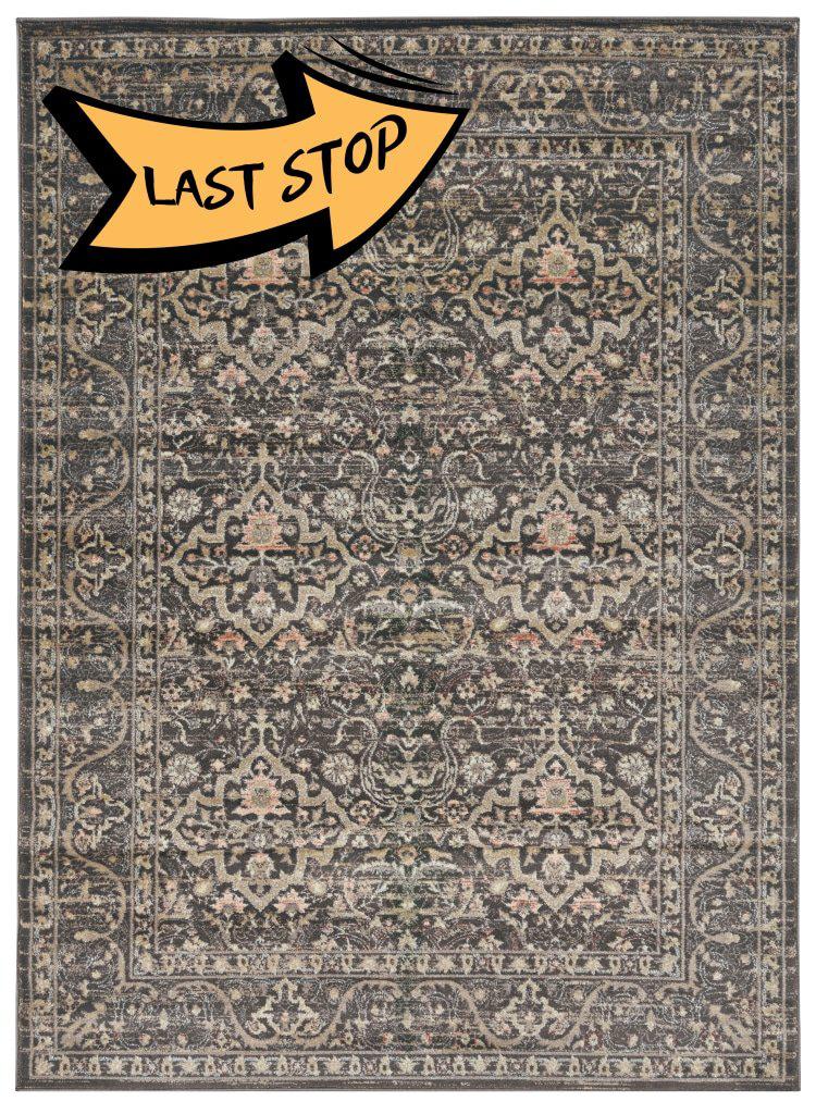 Francesca 502 Light Brown Area Rug 33 X 411